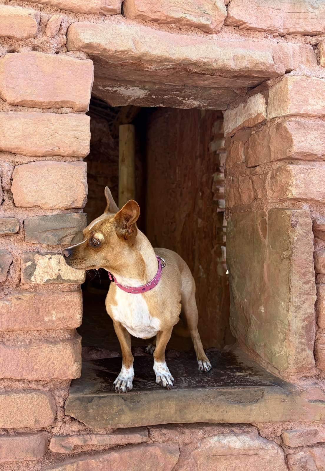 cliff dwellings