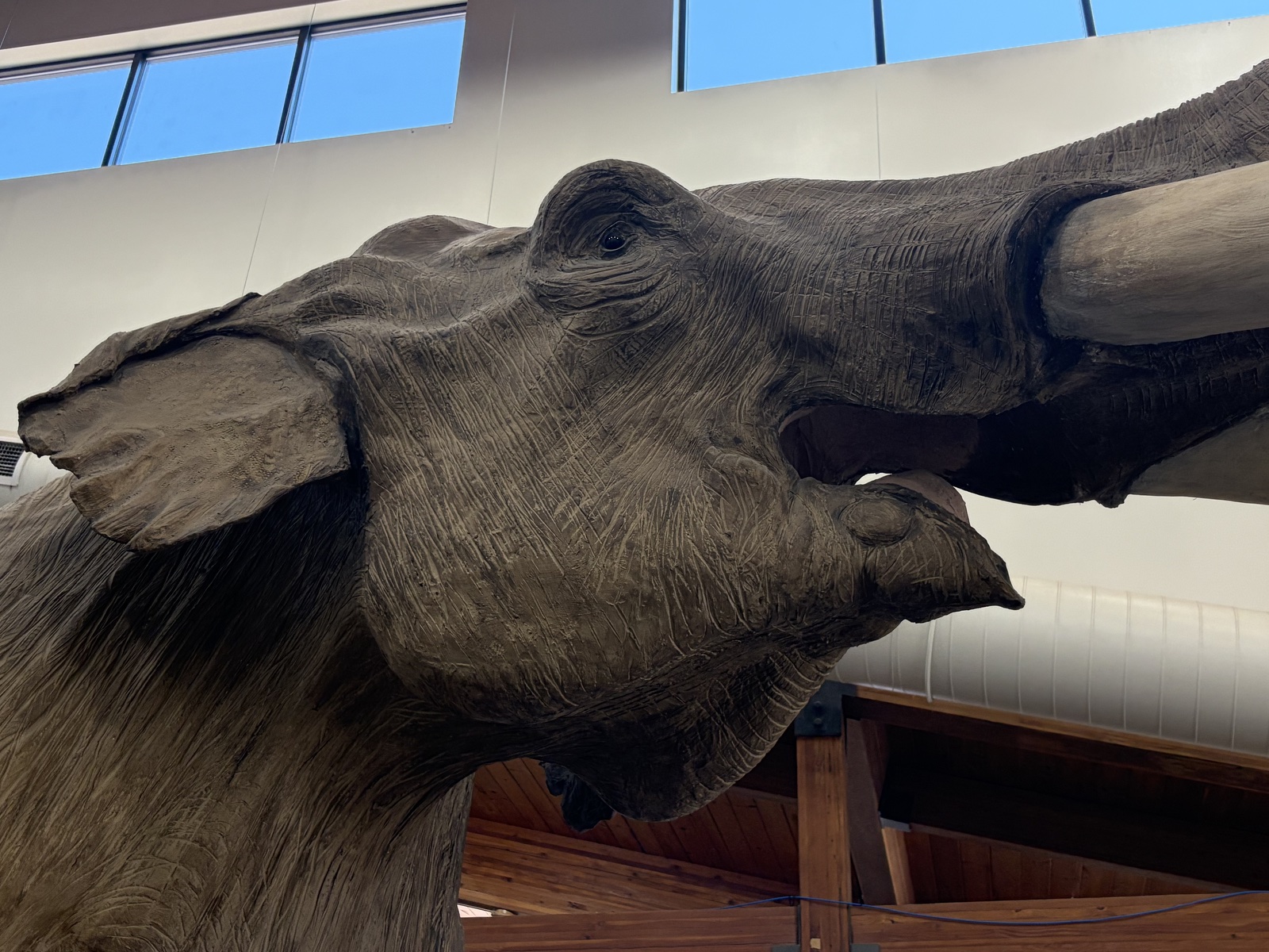 Mammoth Site, South Dakota