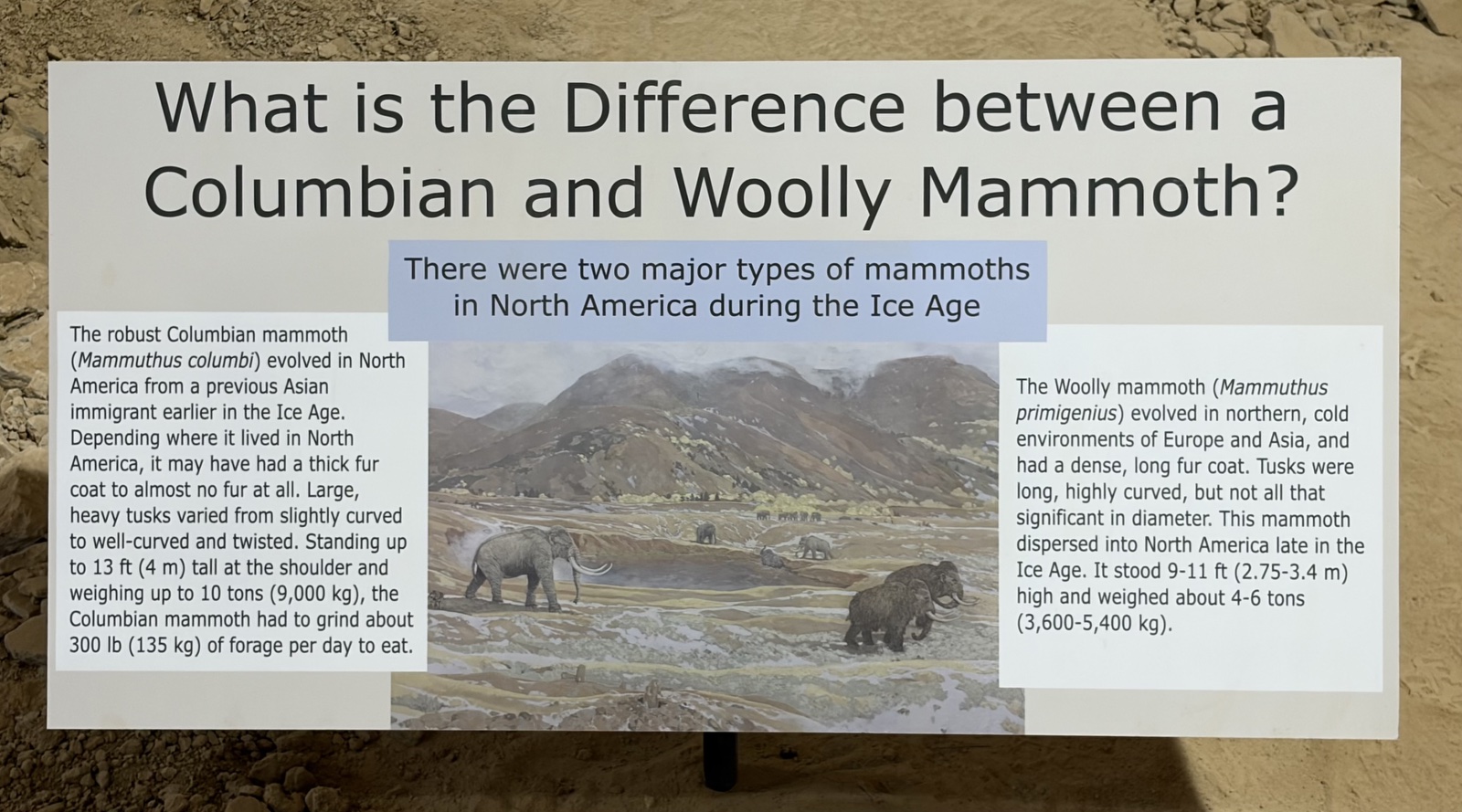 mammoth differences