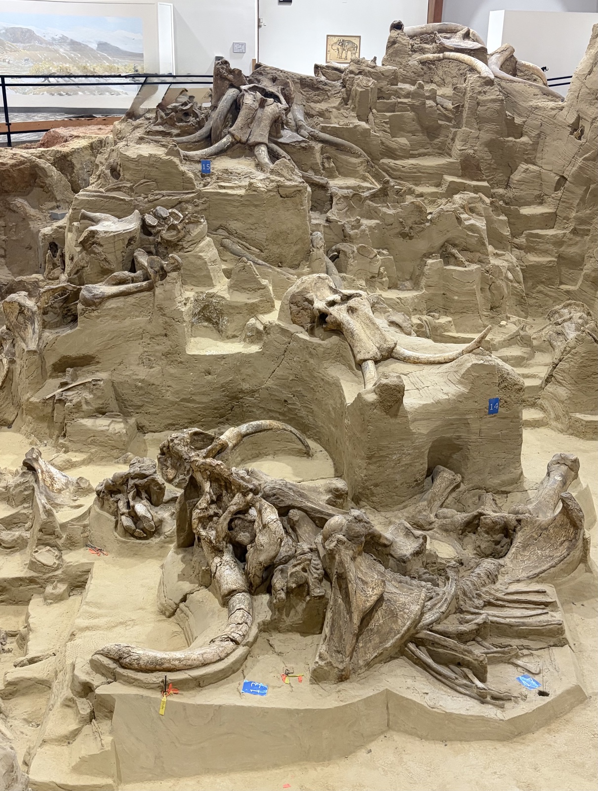 Mammoth Site, South Dakota