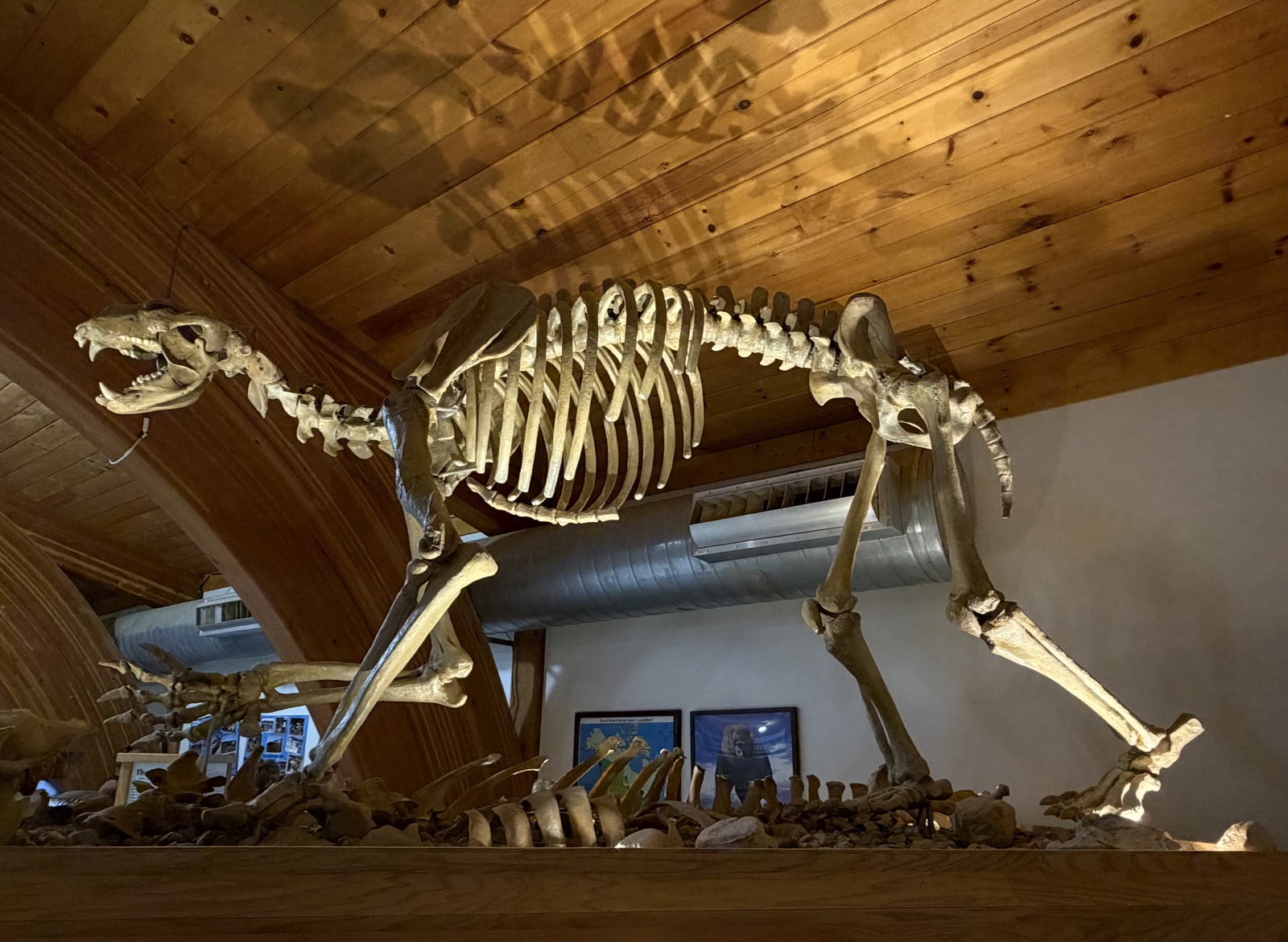 Mammoth Site, South Dakota