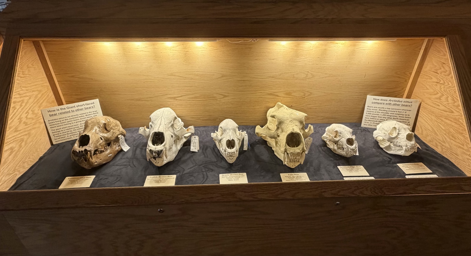 Mammoth Site, South Dakota