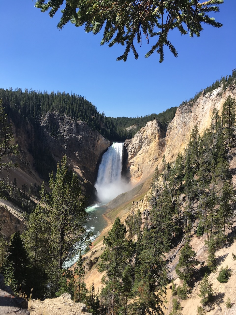 Yellowstone Falls