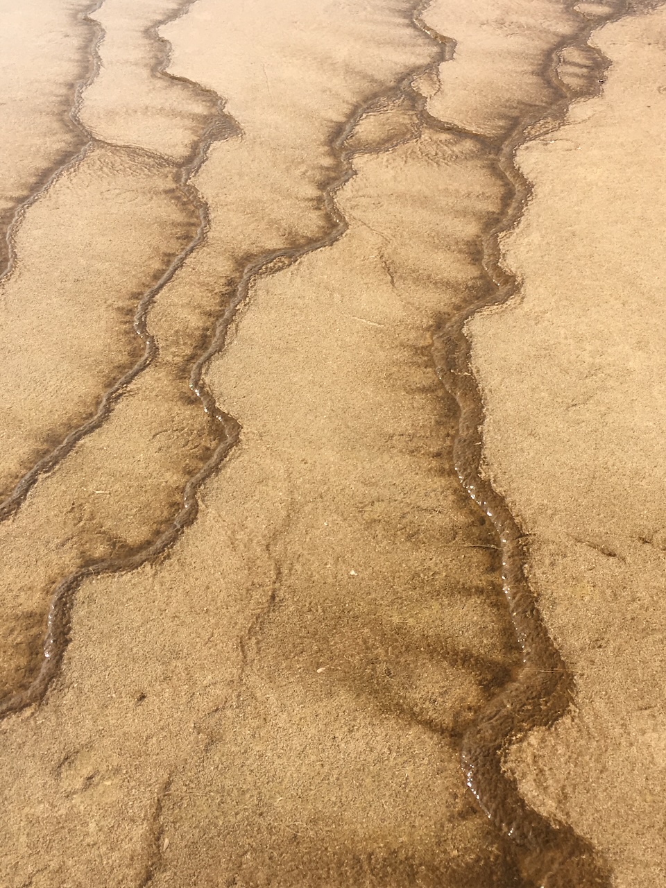Yellowstone Pattern